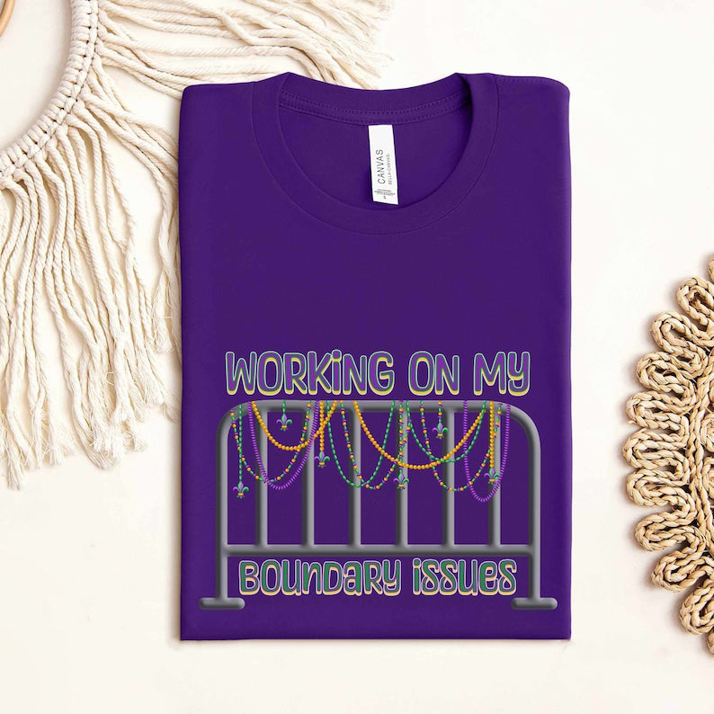 Barricade Boundary Issues T-shirt