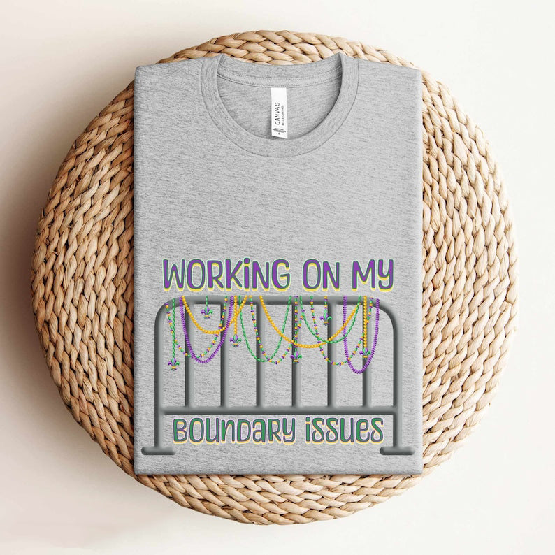 Barricade Boundary Issues T-shirt