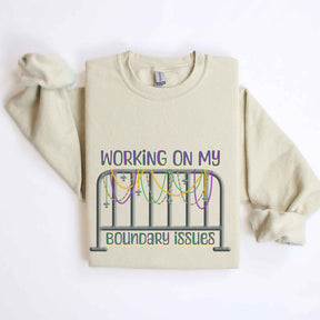 Barricade Boundary Issues Mardi Gras Sweatshirt